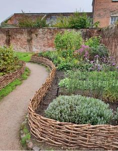 a garden with many different types of flowers and plants growing in the middle of it