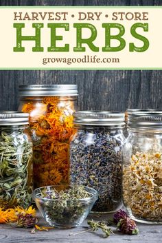 several jars filled with herbs on top of a wooden table and the words harvest diy store