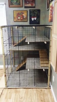 an animal cage in the corner of a room with pictures on the wall