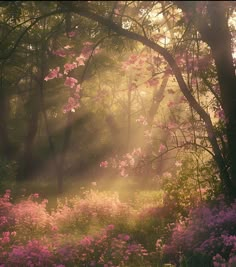 Image Nature, Fairy Aesthetic, 판타지 아트, In The Forest