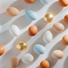 an array of different colored eggs on a white surface