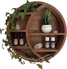 a wooden shelf with plants and bottles on it