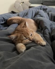 an orange cat laying on top of a bed covered in gray sheets and blankets with its eyes closed