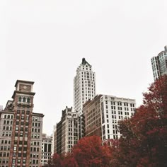 the tall buildings are surrounded by trees with red leaves