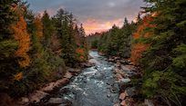 a river running through a forest filled with lots of trees under a cloudy blue sky