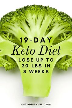 This ultimate keto diet plan for beginners has everything you need to know to start keto. The 19-day keto meal plan includes recipes, tips, and shopping lists. Keto Quiche, Ketogenic Diet Menu, Program Diet, Breakfast Low Carb, Keto Menu, Fat Burning Diet, Low Carb Meal Plan, Keto Pancakes, Low Carb Diets