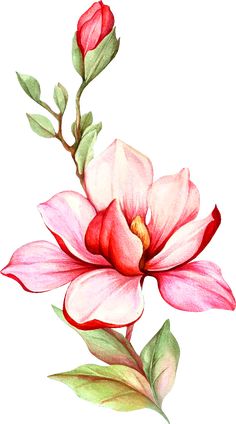 a drawing of a pink flower with green leaves