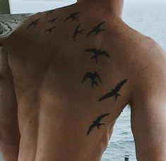 a man with a flock of birds on his back and chest is looking out at the water