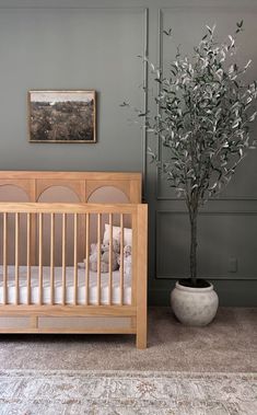 a baby crib next to a small tree in a room with gray walls and carpet