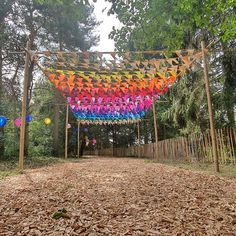 an outdoor area with many colorful objects hanging from the ceiling and trees in the background