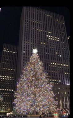 a large christmas tree in the middle of a city