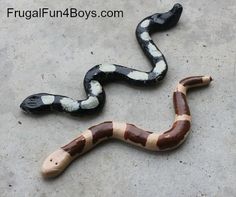 a brown and white snake laying on the ground