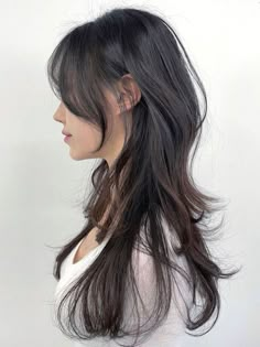 Medium Length Haircut From Back, Wolf Cute Long Hair, Hair Cuts Wolf Cut Long, Hush Haircut Medium Length, Long Hush Cut With Bangs, Long Layer Wolf Cut, Wolf Cut Layers Long Hair, Hairstyles Wolfcut Long, Medium Wolf Haircut