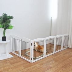 a dog is laying in its cage on the floor next to a potted plant