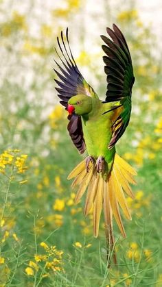 two green and yellow birds are flying in the air over some wildflowers with their wings spread wide open