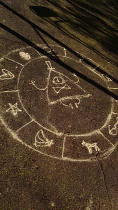 an animal drawn in chalk on the ground