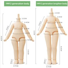 an image of a female mannequin with measurements for the body and head, from front to back