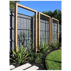 an outdoor garden area with plants and fenced in areas that are made out of wood