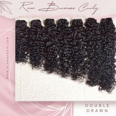 Raw Burmese Curly Length 24 $165 26 $180 28 $200 1 Bundle 100grams Each Super Double Drawn From Alannahair Website Price Is Per 1 Hair Bundle 100g The 1st Raw Hair Company To Design Super Double Drawn Style Burmese Curly Hair, Laced Hair Extensions, Curly Hair Bundles, Peruvian Hair Bundles, Curly Bundles, Hair Company, Bun Hair Piece, Wavy Ponytail, Beautiful Black Hair