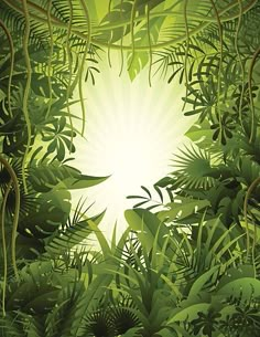 an image of the sun shining through some trees and plants in the jungle stock illustration