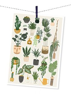 a sheet of stickers with potted plants hanging from clothes pins on a line