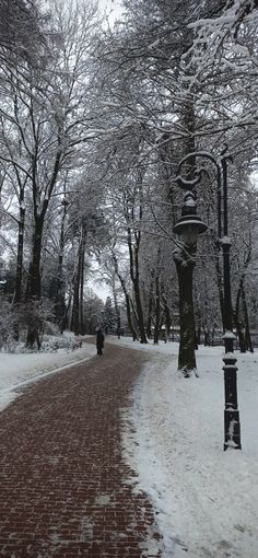 a person walking down a snow covered path in the middle of a park with lots of trees