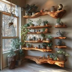 several wooden shelves filled with potted plants on top of a wall next to a window