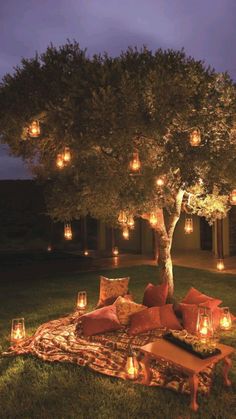 a tree with lanterns hanging from it and some pillows on the ground next to it