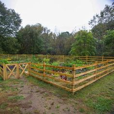 a fenced in garden area with lots of plants and vegetables growing inside the fencing