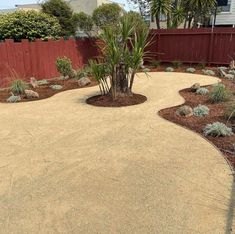 a gravel driveway with trees and plants in the middle, next to a red fence