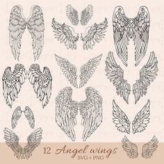 twelve angel wings with different shapes and sizes