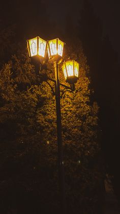 three lights are lit up in the dark on a street light pole near some trees