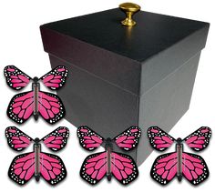 Black Exploding Butterfly Gift Box With 4 Pink Monarch Wind Up Flying Butterflies from butterflyers.com Decorate Box, Gender Reveal Box, Exploding Gift Box, Flying Butterflies, Flying Butterfly, Gender Reveal Gifts, Red Gift Box, Monarch Butterflies, Purple Gift