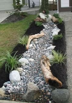 a small garden with rocks and grass