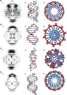 four different types of structures in the same image, each with their own color scheme