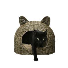 a black cat sitting in a wicker cat bed