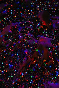 colorful lights on the ground and trees in the background are snow covered with small, multicolored balls