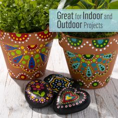 three potted plants with painted butterflies on them and the words great for indoor and outdoor projects