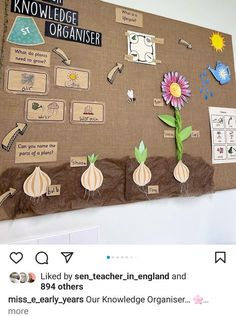 a bulletin board with paper flowers and other things on it that are attached to the wall