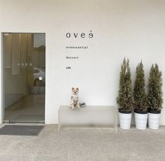 a small dog sitting on top of a white bench next to potted plants in front of a building