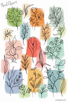 flowers and leaves are drawn in different colors