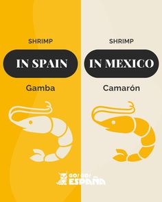 two different types of shrimp in spanish and english