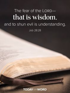 the fear of the lord that is wisdom and to shun evil is understanding