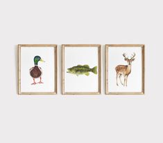 three watercolor paintings of different animals in frames