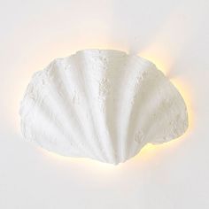 a white scallop is lit up on the wall