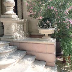 there is a potted plant on the steps