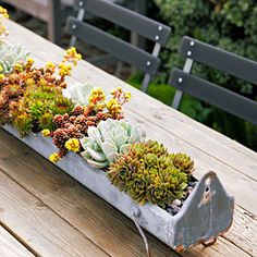 a long table with some plants on it