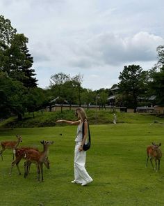 a woman is standing in the grass with deer behind her and pointing at something on the ground