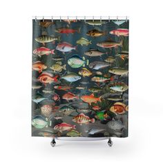 a shower curtain with fish on it