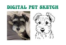 a black and white dog sitting on top of a bed next to the words digital pet sketch